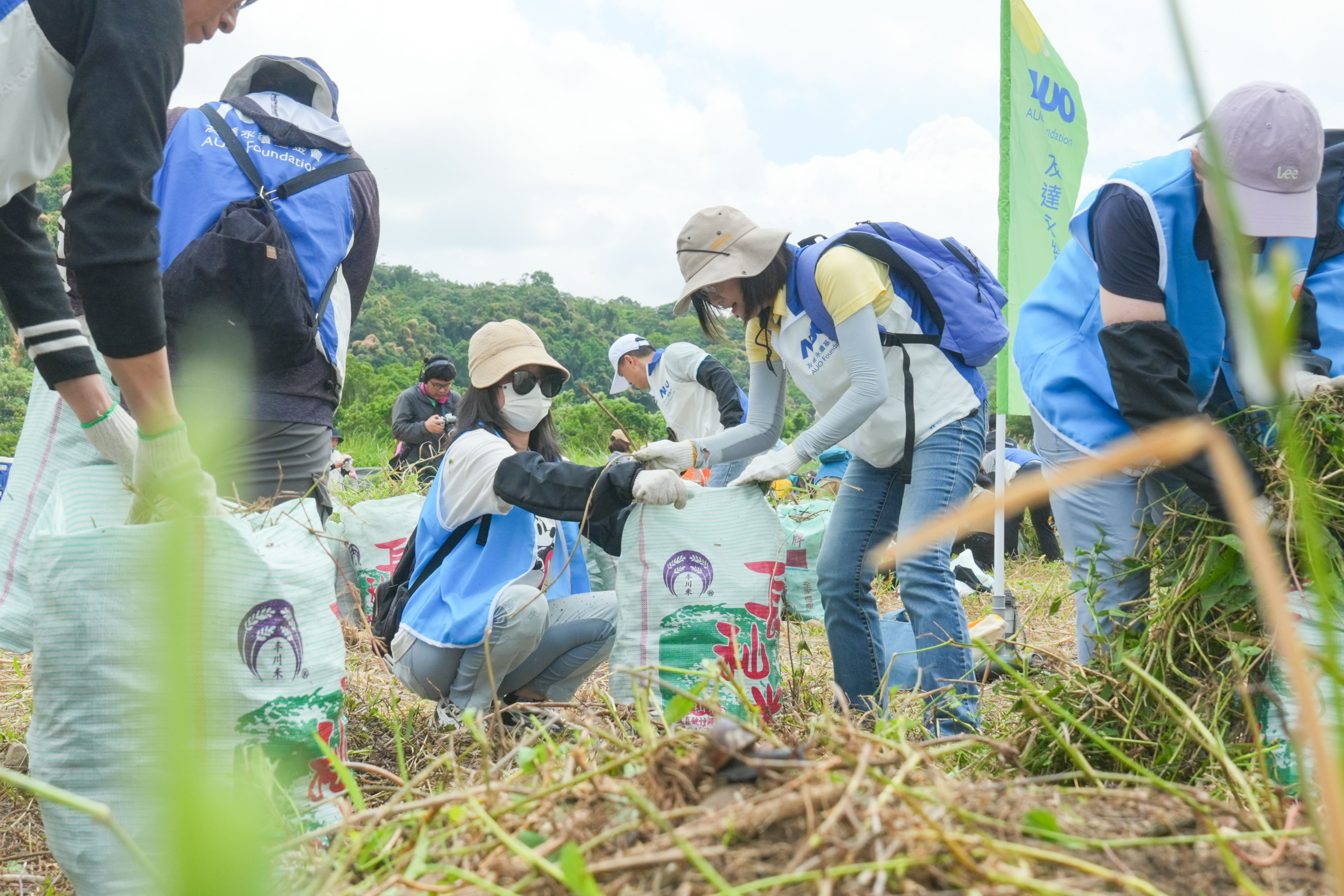 huatihuitiyu華體會(中國)除蔓防治計畫，除了鎖定霄裡溪沿岸3.2公里移除外來入侵種小花蔓澤蘭，並進行物種與空拍調查，共記錄91科181屬239種維管束植物，顯示該區域具高度生態價值